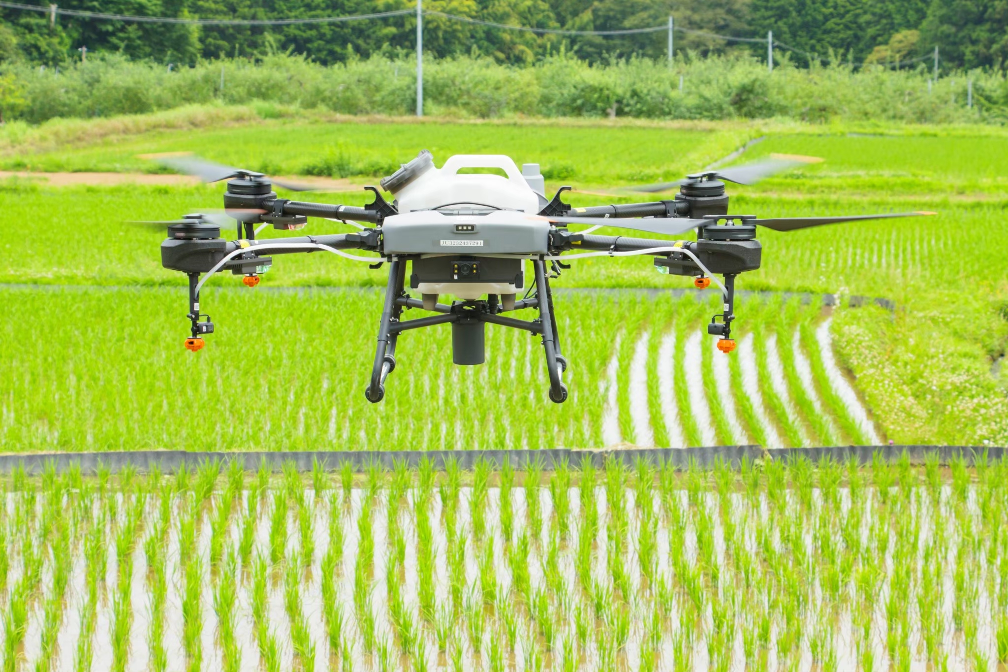 共同受注グループ ネスクイイダ 会員画像