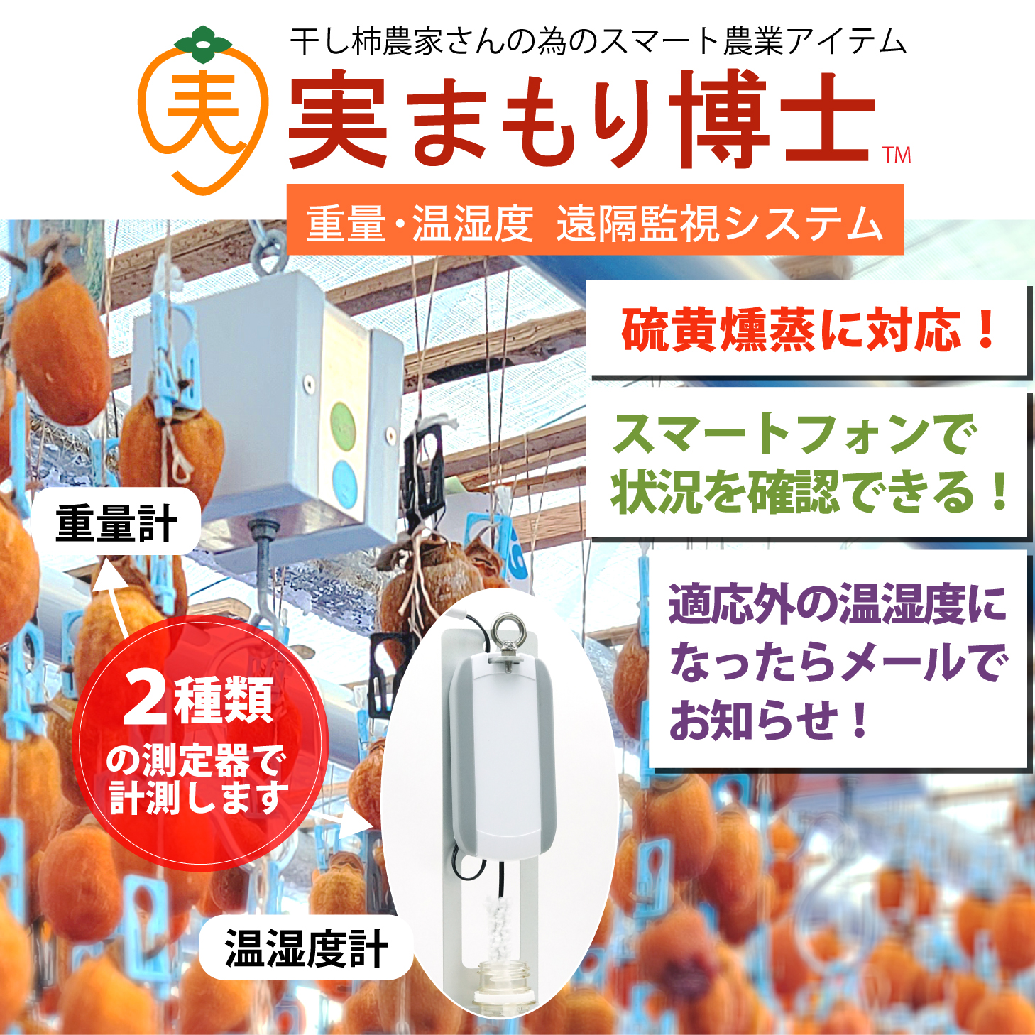 共同受注グループ ネスクイイダ 会員画像